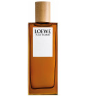 perfume Loewe Pour Homme