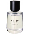 Spring Letter Shiro perfume - a new fragrance for women 2023