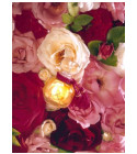 La Rose Legere Les Parfums de Rosine perfume - a fragrance for