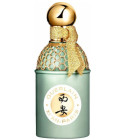 perfume Xi'an