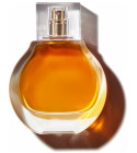 Amber KKW Fragrance
