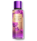 Pure seduction decadent victoria secret hot sale