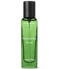 Vetiver best sale pamplemousse fragrantica