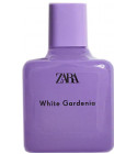 White Gardenia Zara