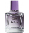 Gardenia Zara