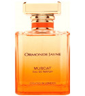 Oud for Greatness - Initio Parfums Privés – INITIO Parfums Privés US