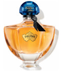 Shalimar Millésime Vanilla Planifolia Guerlain