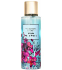 Wild Primrose Victoria's Secret