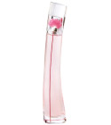 terwijl Lokken volgorde Flower by Kenzo Poppy Bouquet Eau de Parfum Kenzo perfume - a new fragrance  for women 2020
