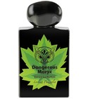 Dangerous Maryx - Limited Edition