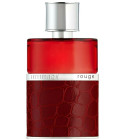 Intimacy noir best sale perfume price