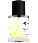 #427 L'abeille marron