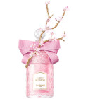 perfume Cherry Blossom 2023 Millésime