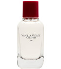 Vanilla Violet Orchid Zara