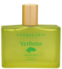 Profumo ambiente Cedro di Calabria 100ml Ricarica - ScelgoSfuso