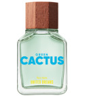 perfume United Dreams Green Cactus For Him