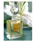 Madonna Lily DSH Perfumes