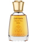 Oud Rain Tropical Storm