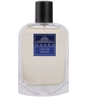 香水(男性用) City Lights Eau de Parfum 50ml City Lights (50ml) | Embrace Urban Sophistication | The