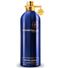 Chypre Vanille Montale