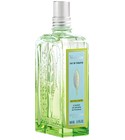Verbena Classic L'Occitane en Provence perfume - a