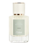 Neroli Chloé perfume - a fragrance for women 2019