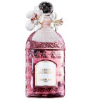 perfume Cherry Blossom Millésime 2024