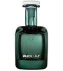 Water Lily