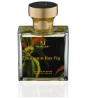 Moreton Bay Fig MetaScent