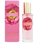 Sweet Temptation Victoria's Secret
