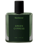 Green Cypress Hawthorne