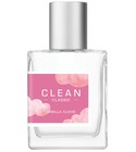 Vanilla Cloud