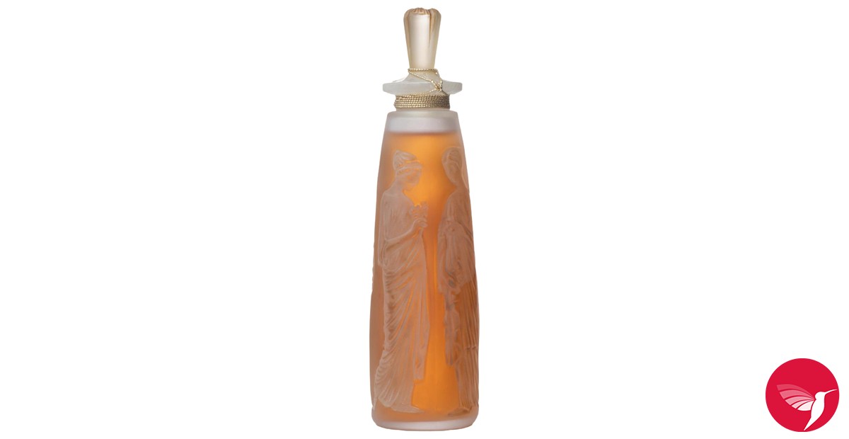 Ambre Antique