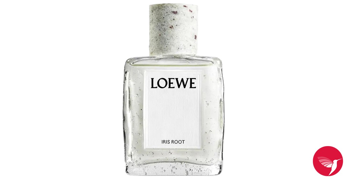 Iris Root Loewe perfume - a new fragrance for women and men 2025