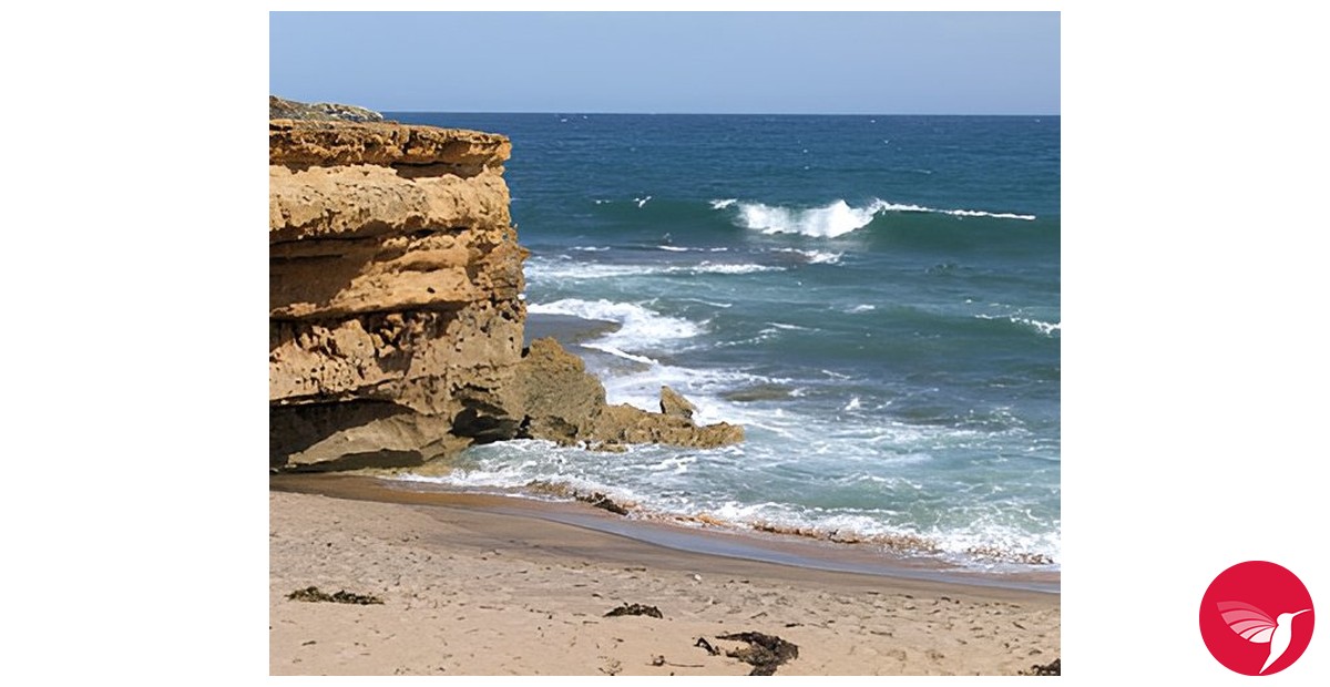 Fragrantica image 3