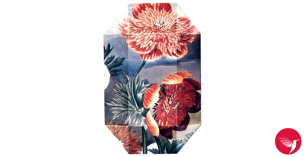 Print Collection Stella 03 (2011) Stella McCartney perfume