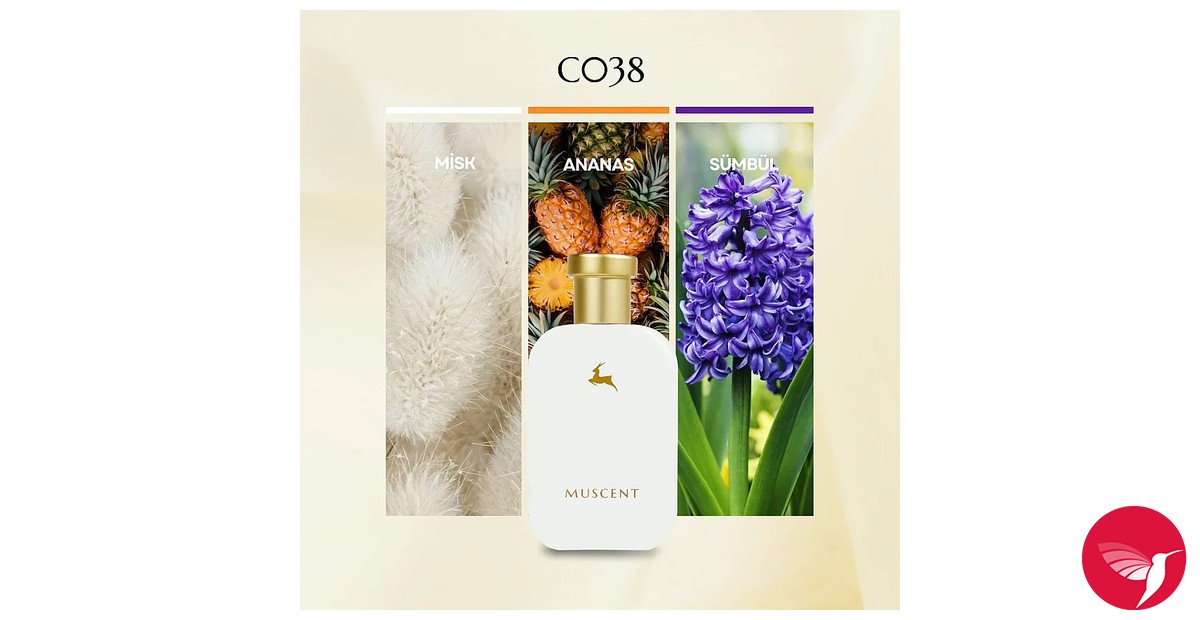 C038 Muscent 香水 - 年のユニセックス フレグランス