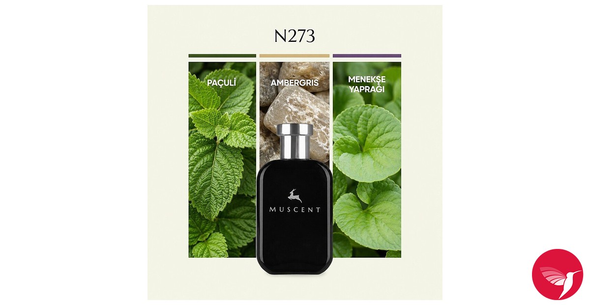 N273 Muscent 香水 - 年のユニセックス フレグランス
