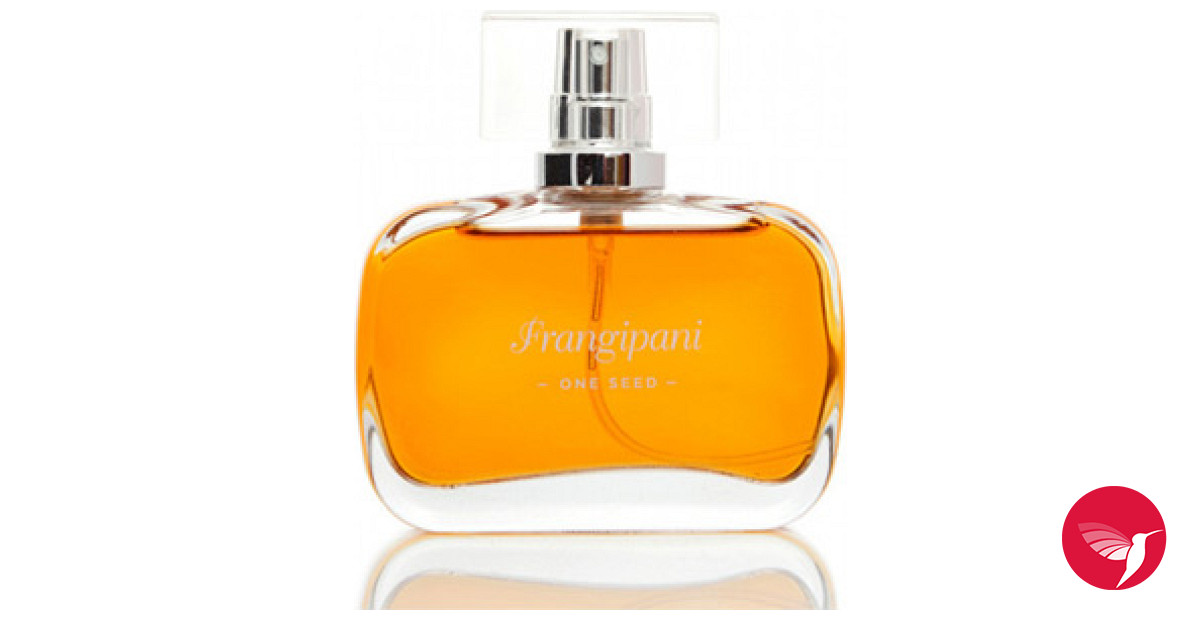 Frangipani fragrantica discount