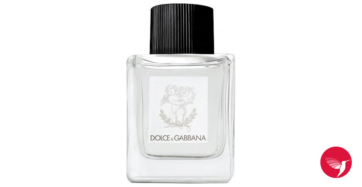 Gabbana Perfume for Babies 
