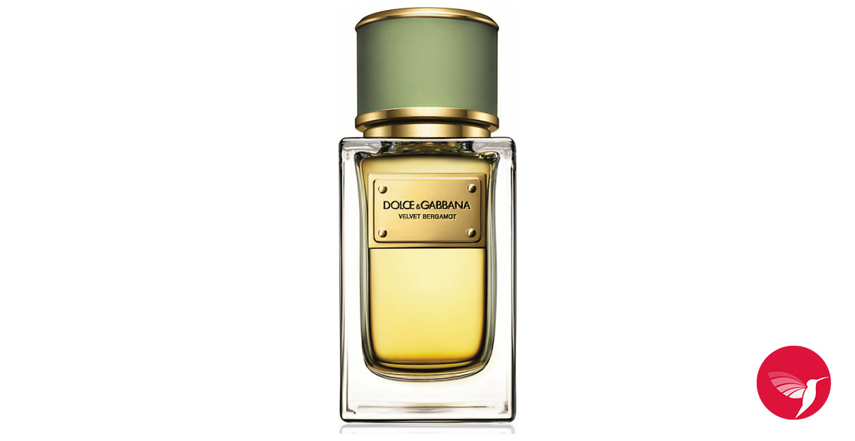 Velvet Bergamot Dolce&Gabbana cologne - a fragrance for men 2014
