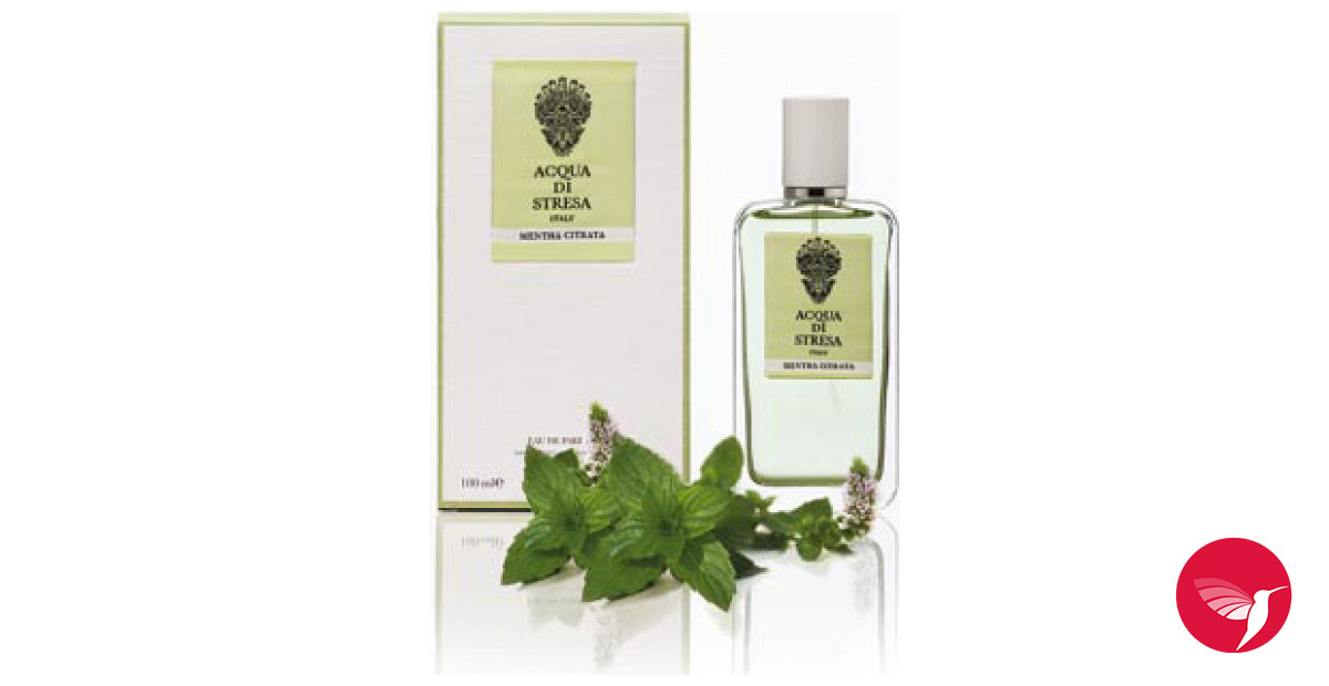 Mentha Citrata Acqua di Stresa perfume - a fragrance for women and men 2012