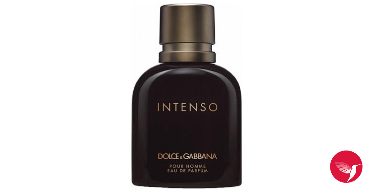 dolce and gabbana intenso notes