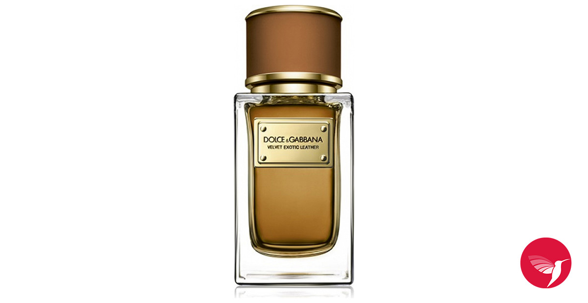 Velvet Exotic Leather Dolce&Gabbana perfume - a fragrance 