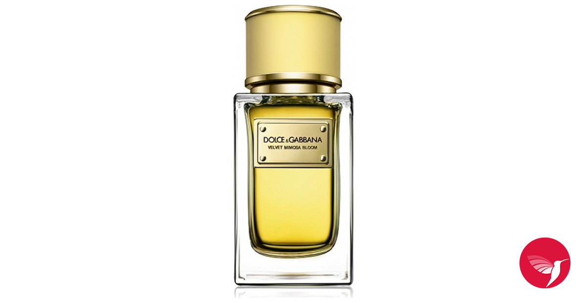 Velvet Mimosa Bloom Dolce&Gabbana perfume - a fragrance for women 2015