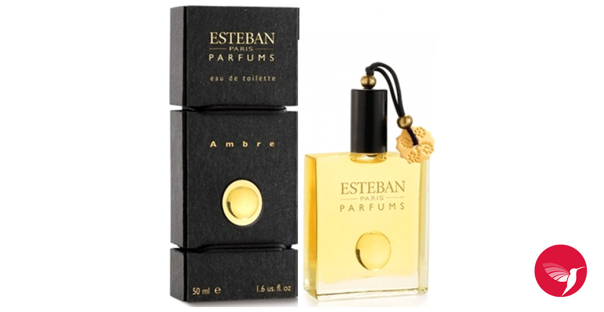 Gelijkenis Verkeerd medeleerling Ambre Esteban perfume - a fragrance for women