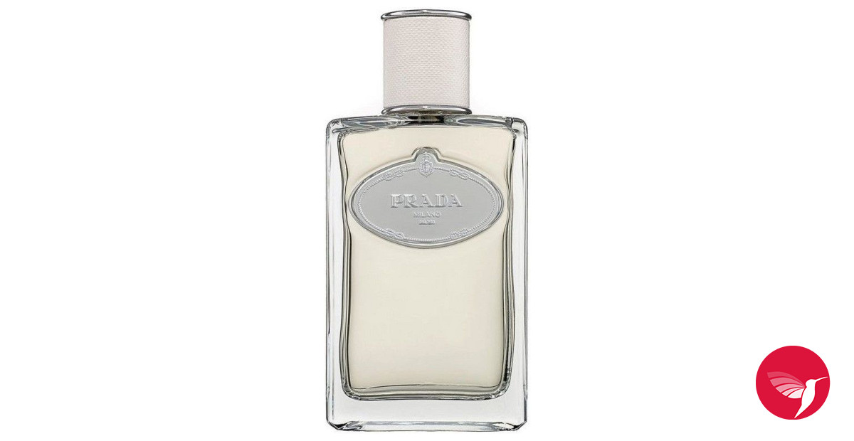 8 Parfum Zara Terbaik!  Friday Fragrance 