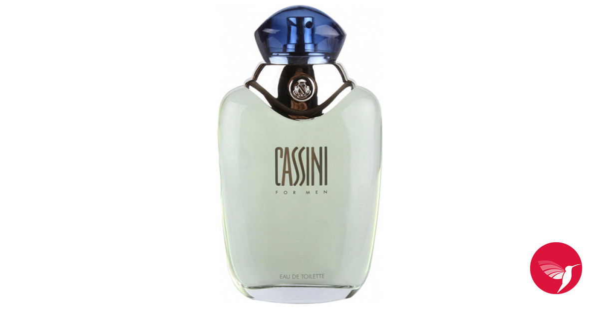 Bottle image 3