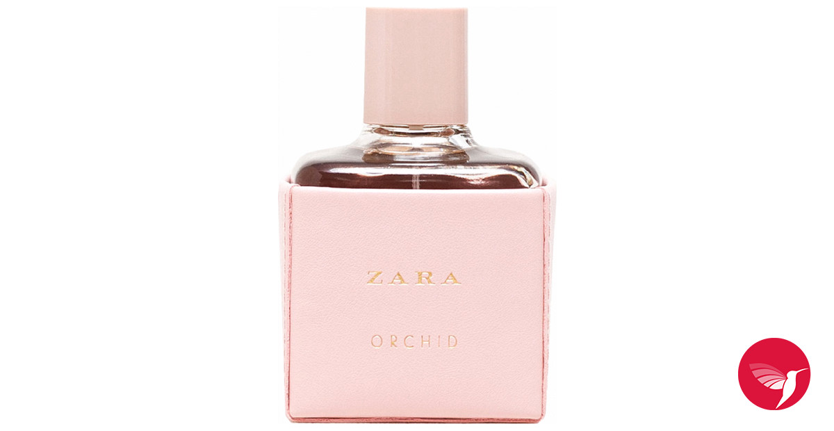 Zara Orchid 2016