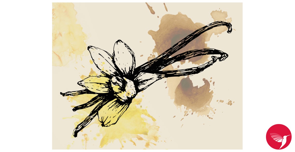 Fragrantica image 3